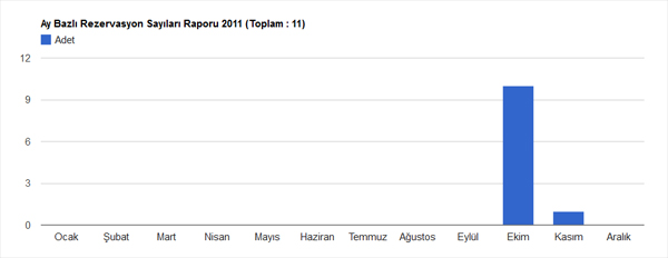 Ay bazlı rapor