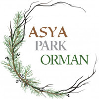 Asya Park Orman - Akasya